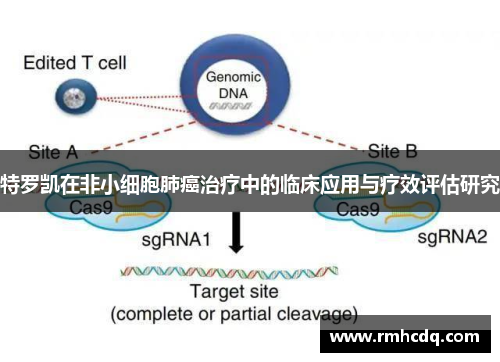 特罗凯在非小细胞肺癌治疗中的临床应用与疗效评估研究